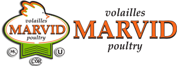 Marvid logo